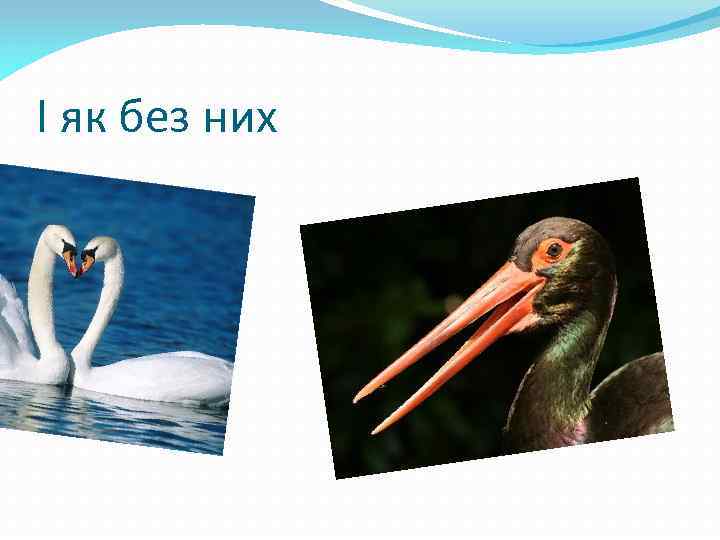 І як без них 