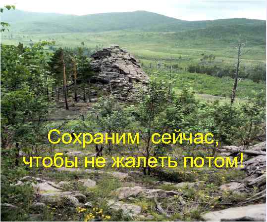 Сохраним сейчас, чтобы не жалеть потом! 