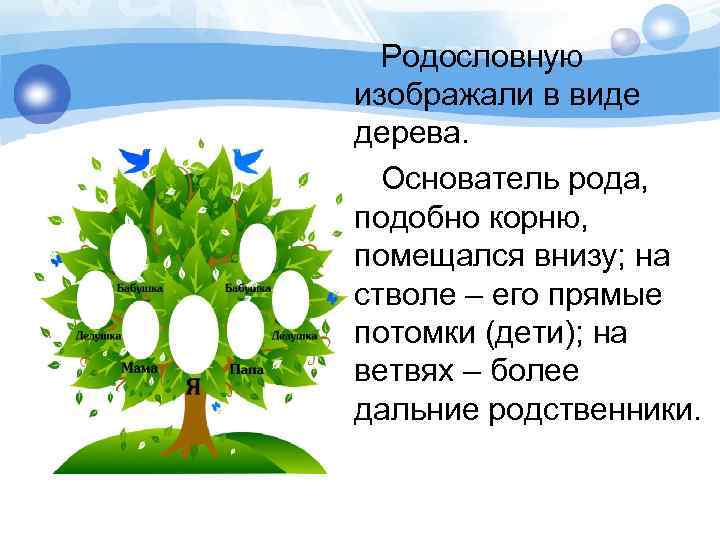 Родословную изображали в виде дерева. Основатель рода, подобно корню, помещался внизу; на стволе –