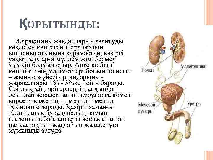 ҚОРЫТЫНДЫ: Жарақатану жағдайларын азайтуды көздеген көптеген шаралардың қолданылатынына қарамастан, қазіргі уақытта оларға мүлдем жол
