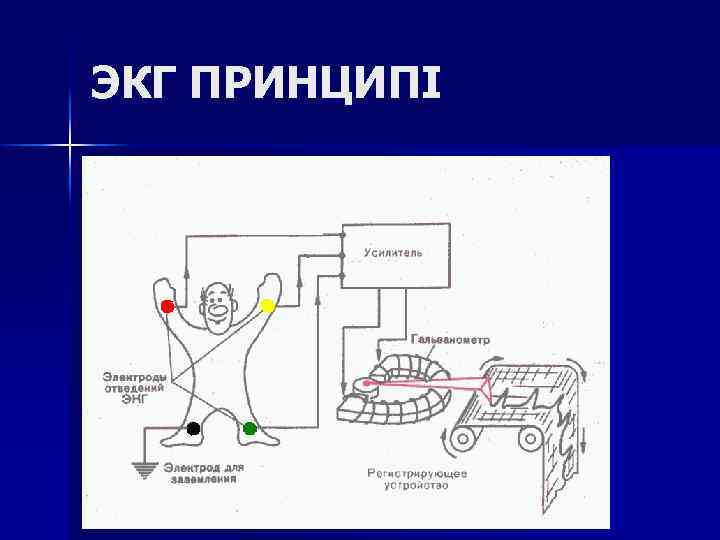 ЭКГ ПРИНЦИПІ 