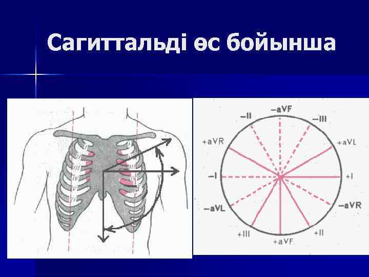 Сагиттальді өс бойынша 