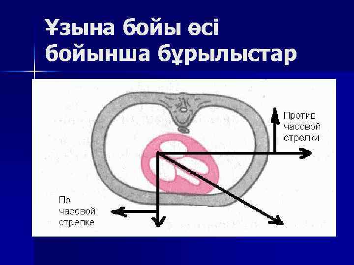Ұзына бойы өсі бойынша бұрылыстар 
