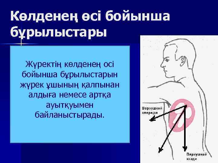 Көлденең өсі бойынша бұрылыстары Жүректің көлденең осі бойынша бұрылыстарын жүрек ұшының қалпынан алдыға немесе