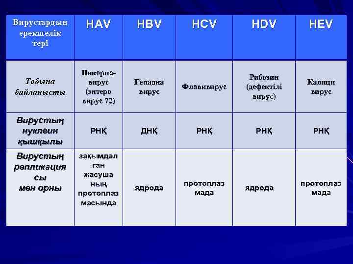 Вирустардың ерекшелік тері HAV HBV Тобына байланысты Пикорнавирус (энтеро вирус 72) Вирустың нуклеин қышқылы