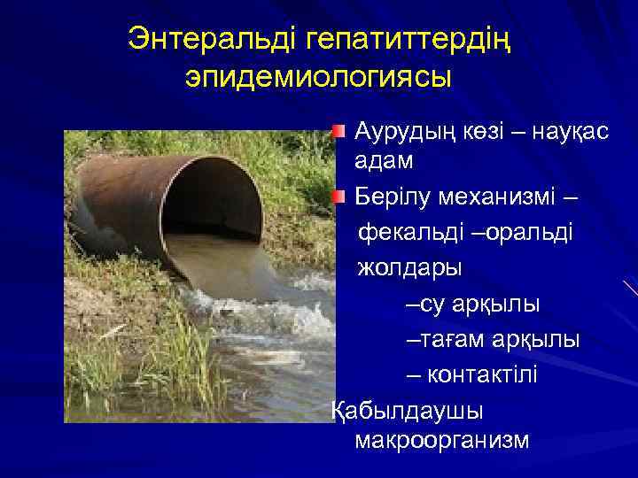 Энтеральді гепатиттердің эпидемиологиясы Аурудың көзі – науқас адам Берілу механизмі – фекальді –оральді жолдары