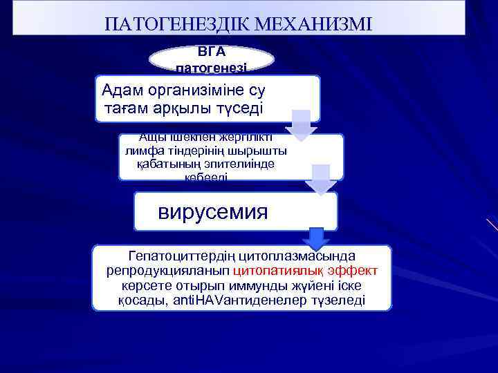 ПАТОГЕНЕЗДІК МЕХАНИЗМІ ВГА патогенезі Адам организіміне су тағам арқылы түседі Ащы ішекпен жергілікті лимфа