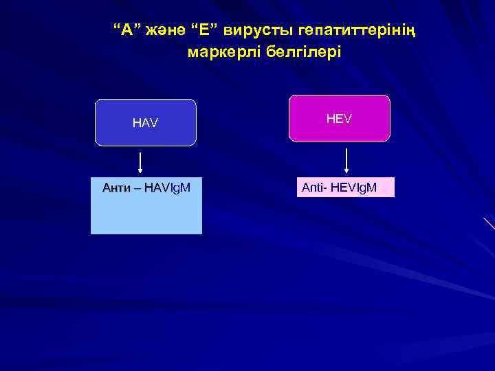 “А” және “Е” вирусты гепатиттерінің маркерлі белгілері HАV HЕV Анти – HAVIg. M HAV