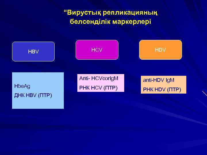 “Вирустық репликацияның белсенділік маркерлері HBV HCV HDV Anti- HCVcor. Ig. M Hbe. Ag ДНК