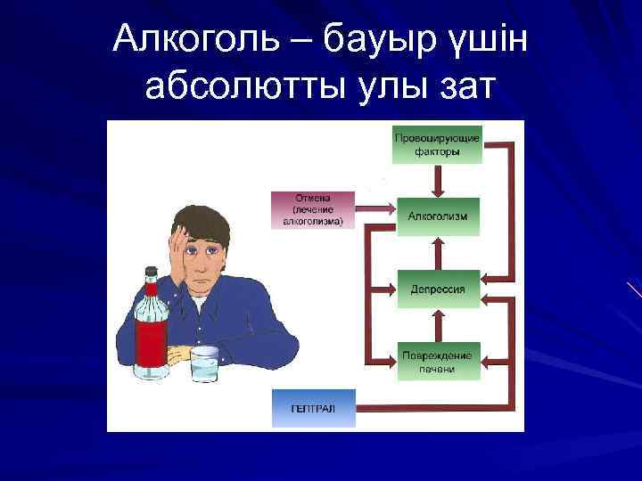 Алкоголь – бауыр үшін абсолютты улы зат 