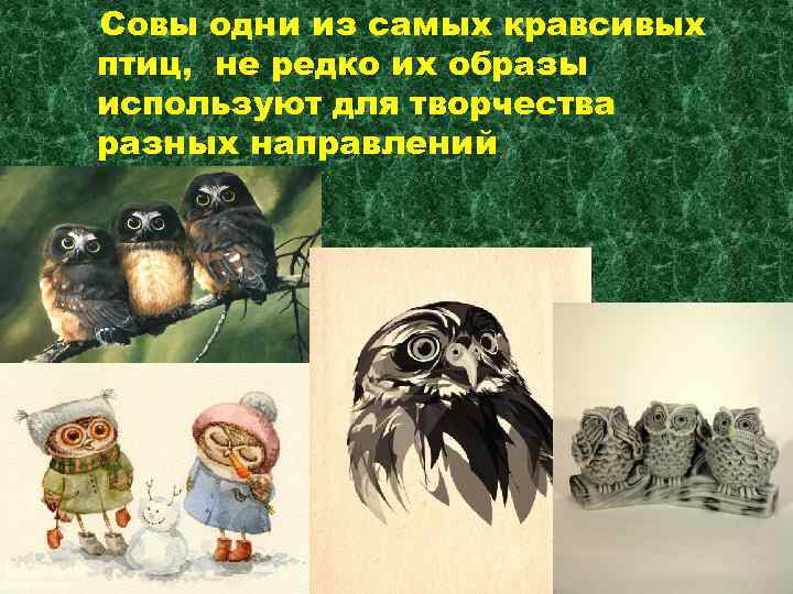 Совы одни из самых кравсивых птиц, не редко их образы используют для творчества разных