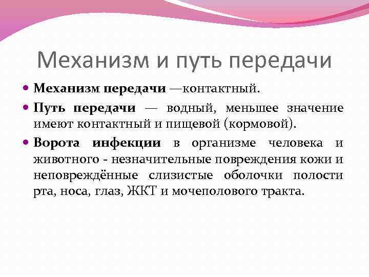 Контактный путь передачи. Пути передачи инфекции при лихорадке Марбург. Лихорадка Марбург механизм передачи. Водный путь передачи. Пути и механизмы передачи лихорадки Марбурга.