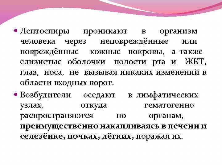  Лептоспиры проникают в организм человека через неповреждённые или повреждённые кожные покровы, а также