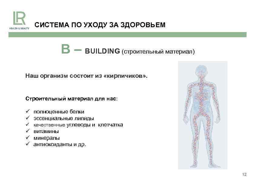 СИСТЕМА ПО УХОДУ ЗА ЗДОРОВЬЕМ B – BUILDING (строительный материал) Наш организм состоит из