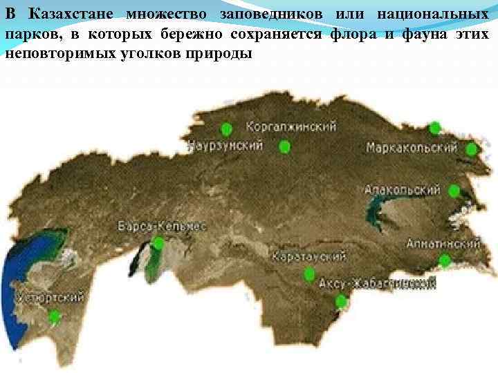 В Казахстане множество заповедников или национальных парков, в которых бережно сохраняется флора и фауна