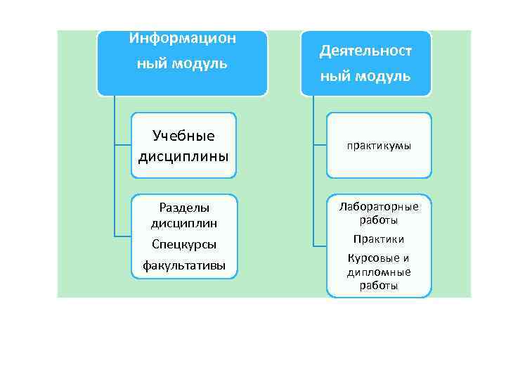 Информацион ный модуль Учебные дисциплины Разделы дисциплин Спецкурсы факультативы Деятельност ный модуль практикумы Лабораторные