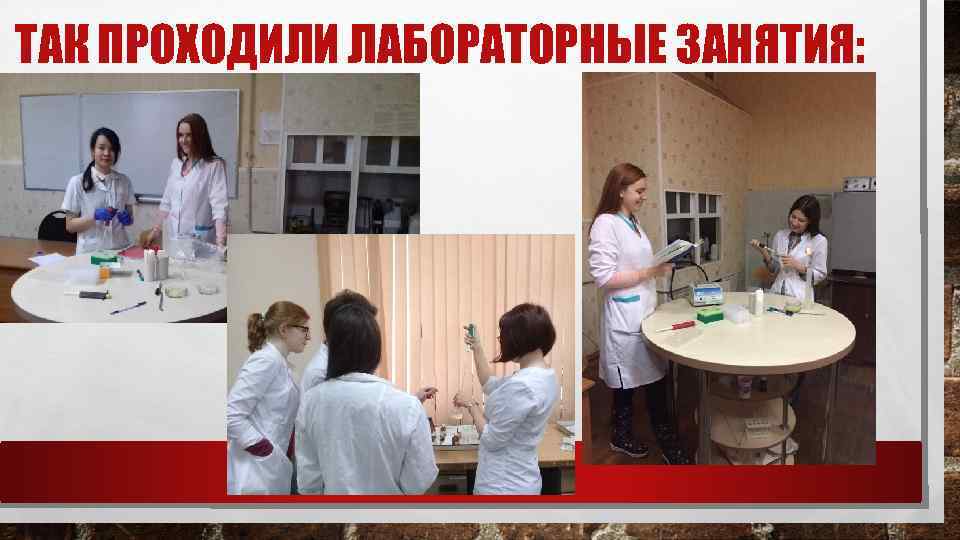 ТАК ПРОХОДИЛИ ЛАБОРАТОРНЫЕ ЗАНЯТИЯ: 