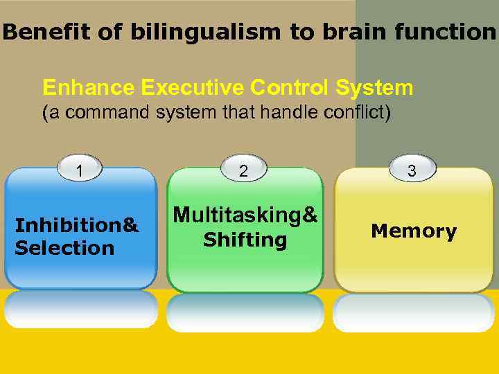 Benefit of bilingualism to brain function Enhance Executive Control System (a command system that