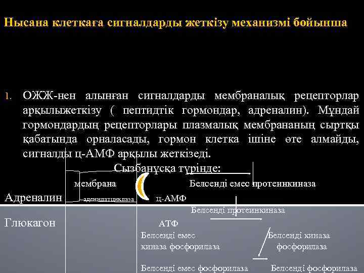 Нысана клеткаға сигналдарды жеткізу механизмі бойынша 1. ОЖЖ-нен алынған сигналдарды мембраналық рецепторлар арқылыжеткізу (