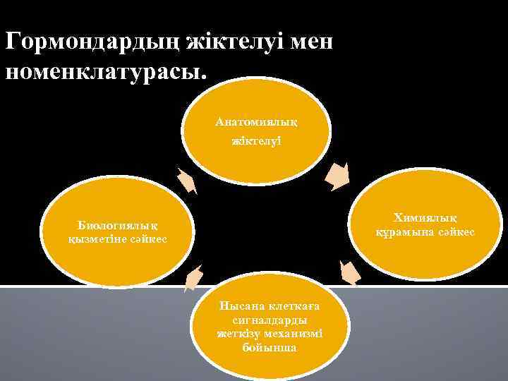 Гормондардың жіктелуі мен номенклатурасы. Анатомиялық жіктелуі Химиялық құрамына сәйкес Биологиялық қызметіне сәйкес Нысана клеткаға