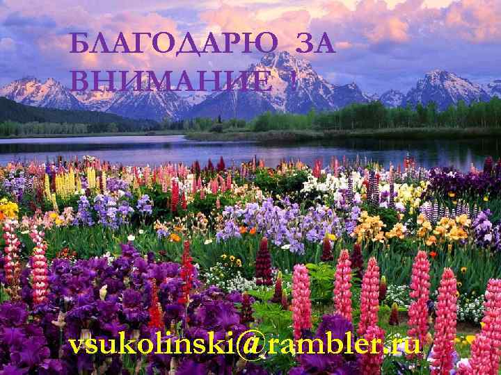БЛАГОДАРЮ ЗА ВНИМАНИЕ ! vsukolinski@rambler. ru 