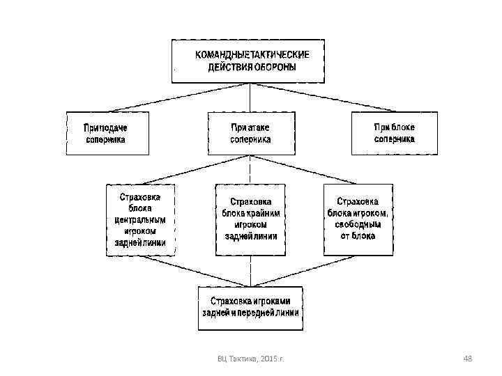 ВЦ Тактика, 2015 г. 48 