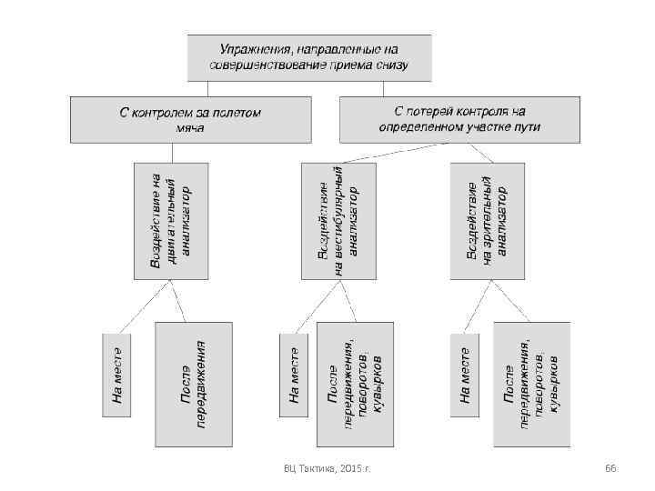 ВЦ Тактика, 2015 г. 66 