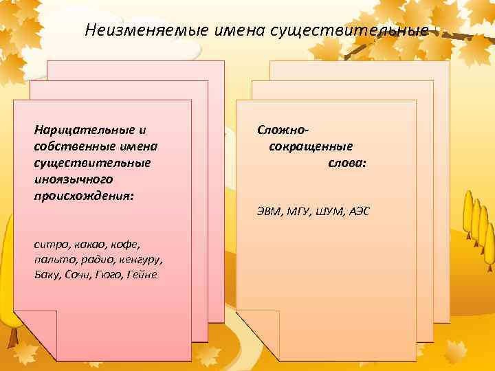 Неизменяемые формы слова. Неизменяемые имена существительные 3 шампунь. Собственное или нарицательное.