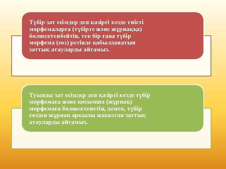 Түбір зат есімдер деп қазіргі кезде тиісті морфемаларға (түбірге және жұрнаққа) бөлшектенбейтін, тек бір