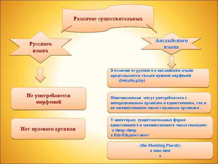 Различие существительных Русского языка Английского языка В отличие от русского в английском языке представляется