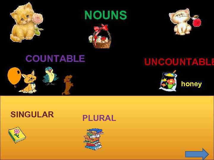 NOUNS COUNTABLE UNCOUNTABLE honey SINGULAR PLURAL 
