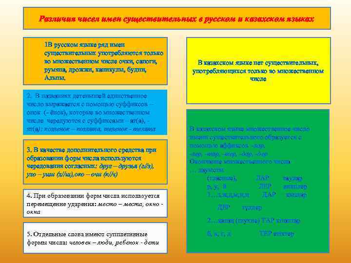 Различия чисел имен существительных в русском и казахском языках 1 В русском языке ряд