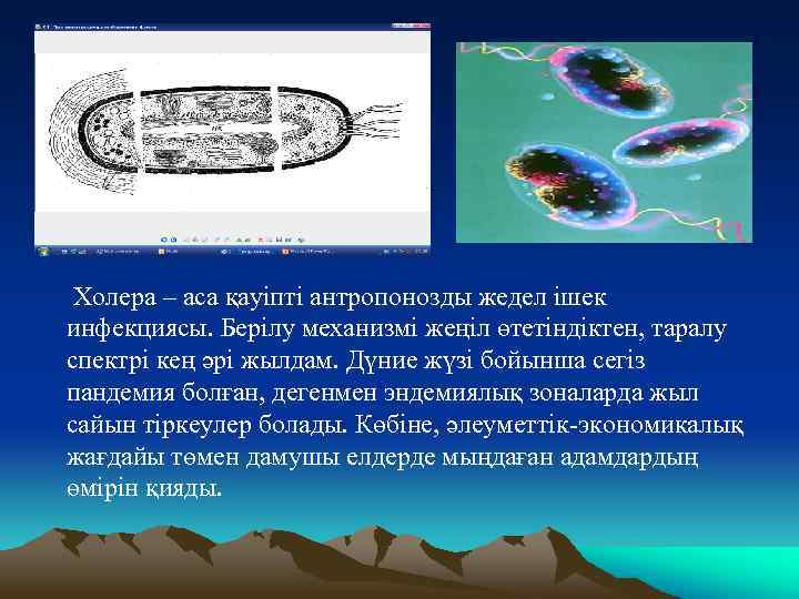 Холера – аса қауіпті антропонозды жедел ішек инфекциясы. Берілу механизмі жеңіл өтетіндіктен, таралу спектрі