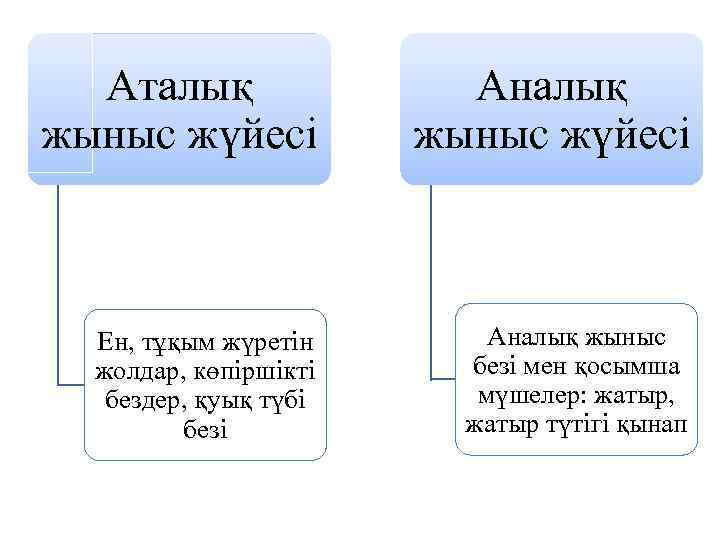 Аталық жыныс жүйесі Аналық жыныс жүйесі Ен, тұқым жүретін жолдар, көпіршікті бездер, қуық түбі