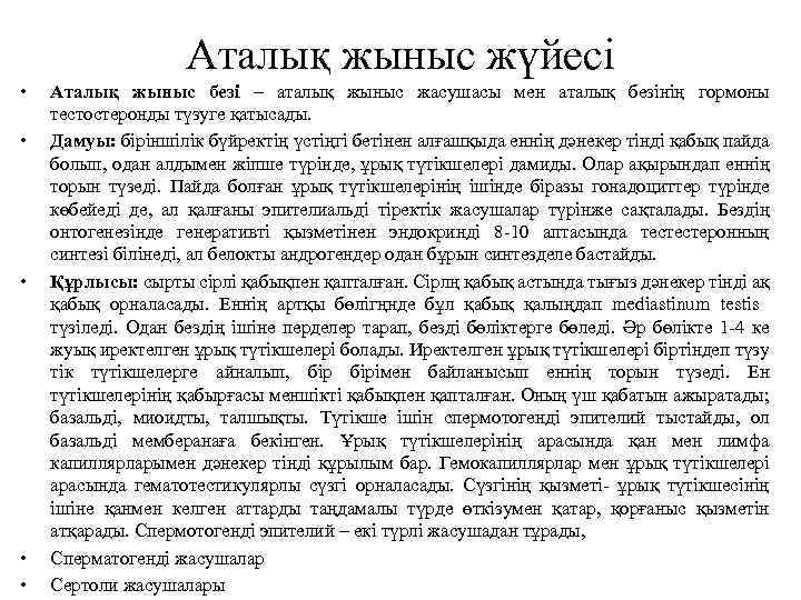 Аталық жыныс жүйесі • • • Аталық жыныс безі – аталық жыныс жасушасы мен