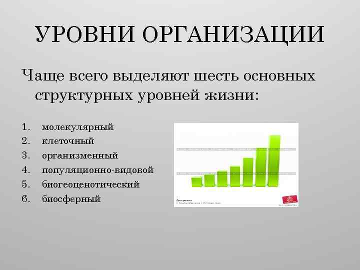 УРОВНИ ОРГАНИЗАЦИИ Чаще всего выделяют шесть основных структурных уровней жизни: 1. 2. 3. 4.