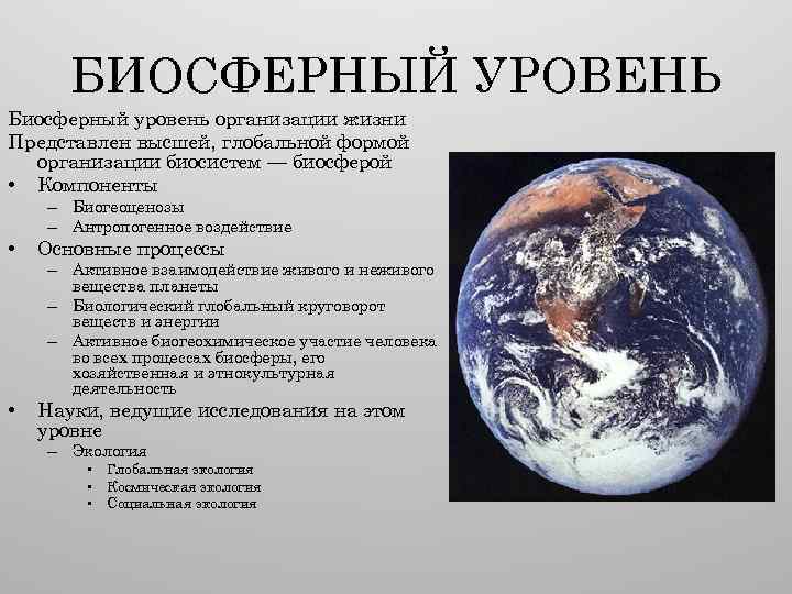 БИОСФЕРНЫЙ УРОВЕНЬ Биосферный уровень организации жизни Представлен высшей, глобальной формой организации биосистем — биосферой
