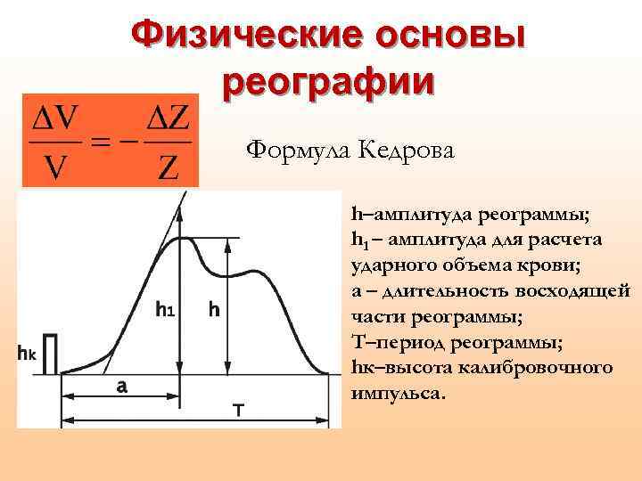 Физические основы реографии Формула Кедрова h–амплитуда реограммы; h 1 – амплитуда для расчета ударного