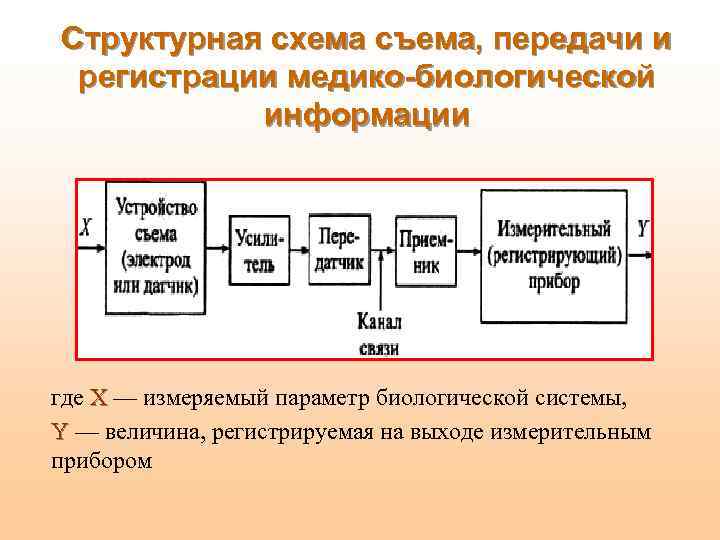 Структурная схема съема, передачи и регистрации медико-биологической информации где X — измеряемый параметр биологической