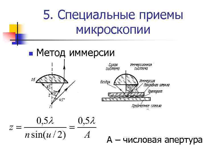 5. Специальные приемы микроскопии n Метод иммерсии А – числовая апертура 