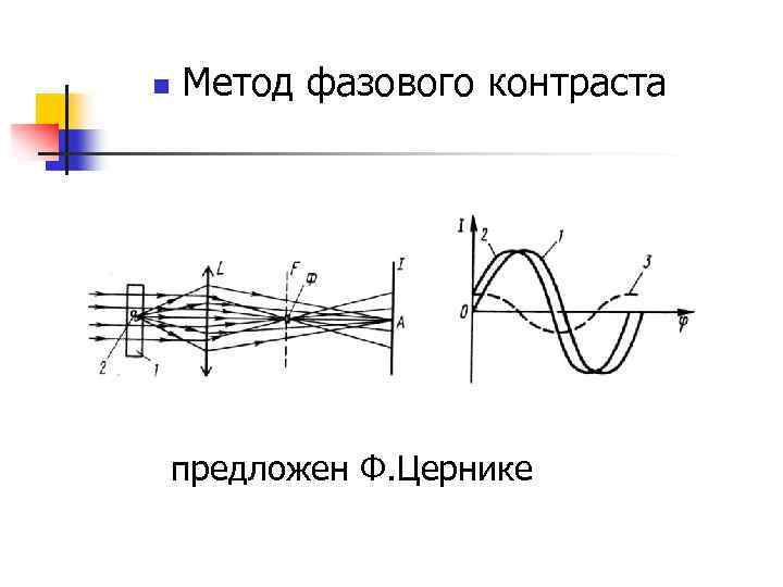 n Метод фазового контраста предложен Ф. Цернике 