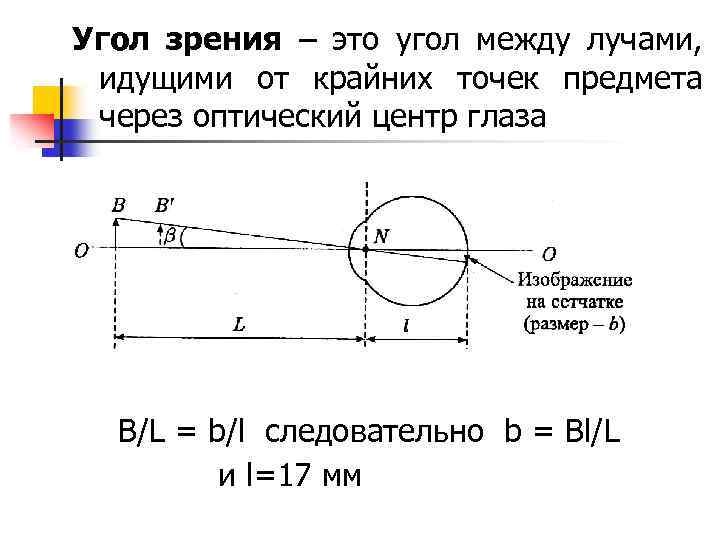 Угол зрения – это угол между лучами, идущими от крайних точек предмета через оптический