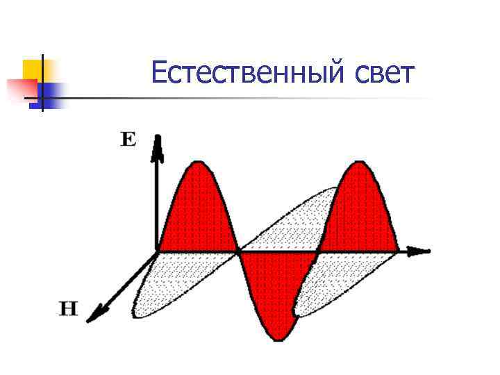 Естественный свет 