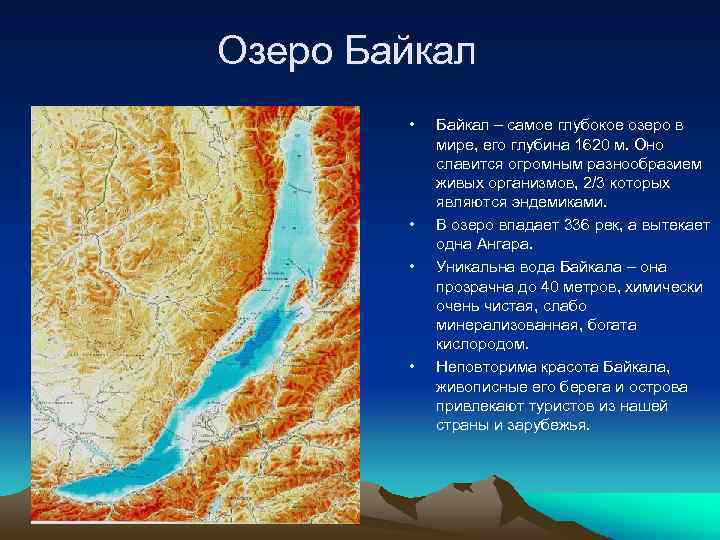 Озеро Байкал • • Байкал – самое глубокое озеро в мире, его глубина 1620