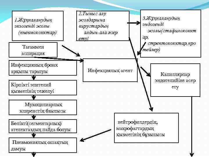 1. Жұқпаланудың экзогенді жолы (пневмококктар) 2. Тыныс алу жолдарына вирустардың алдын-ала әсер етуі Тағаммен