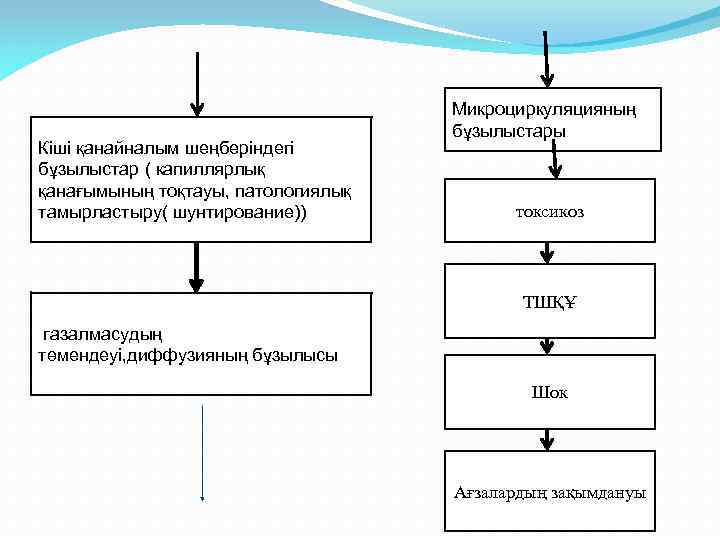 Кіші қанайналым шеңберіндегі бұзылыстар ( капиллярлық қанағымының тоқтауы, патологиялық тамырластыру( шунтирование)) Микроциркуляцияның бұзылыстары токсикоз