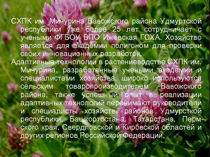 СХПК им. Мичурина Вавожского района Удмуртской республики уже более 25 лет сотрудничает с учеными