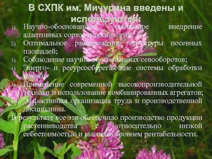 В СХПК им. Мичурина введены и используются: Научно-обоснованное системное внедрение адаптивных сортов и технологий;