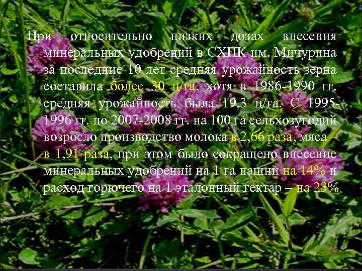 При относительно низких дозах внесения минеральных удобрений в СХПК им. Мичурина за последние 10