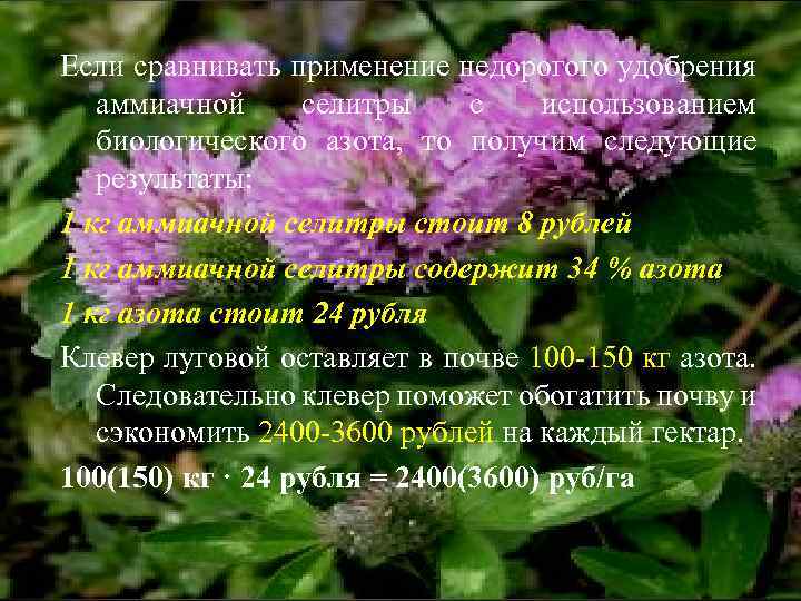 Если сравнивать применение недорогого удобрения аммиачной селитры с использованием биологического азота, то получим следующие